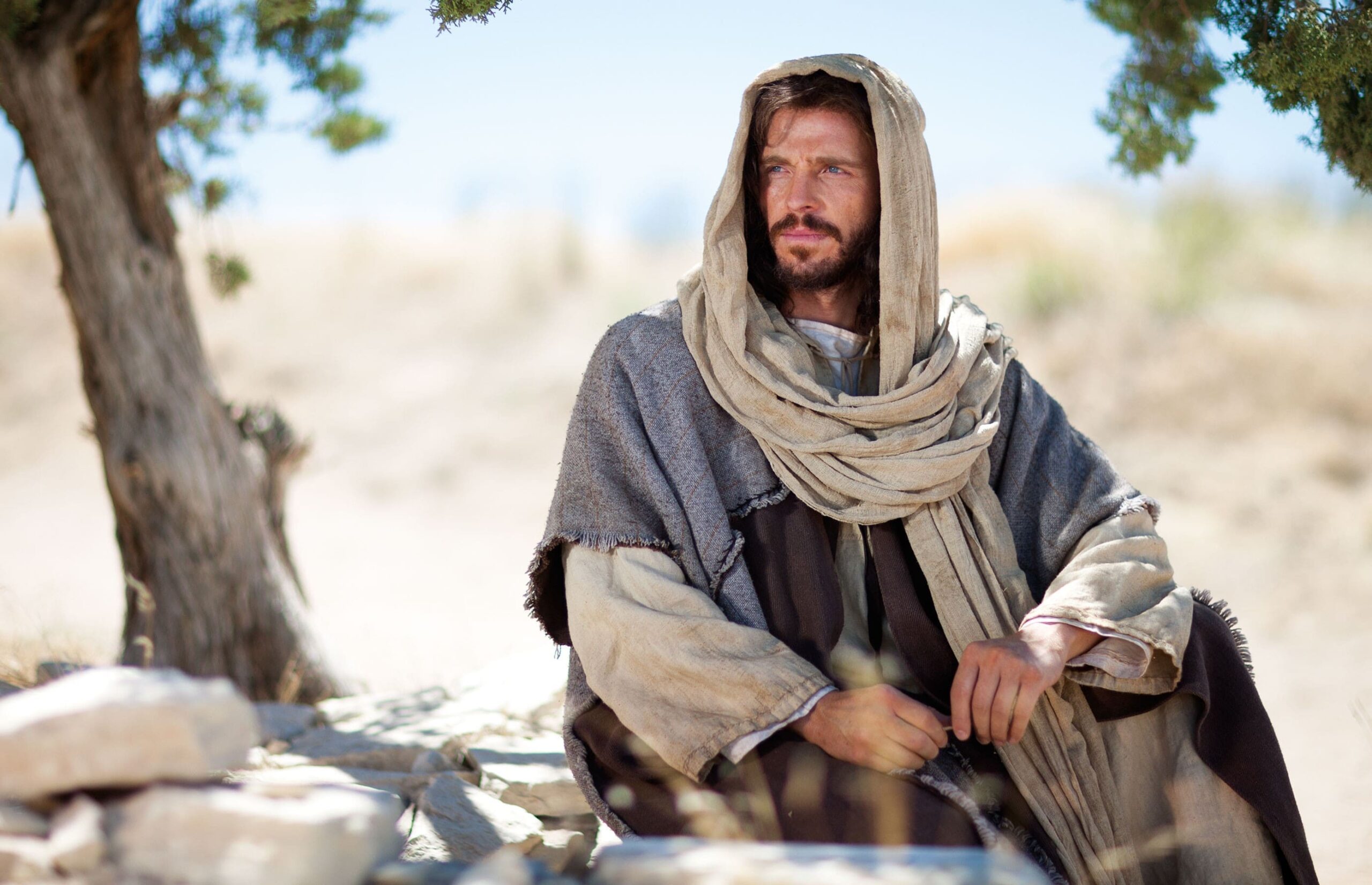 Jesus Cristo sentado, contemplando